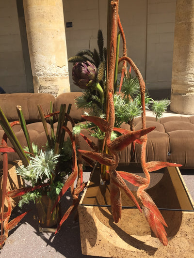 PRESENTATION NANUSHKA