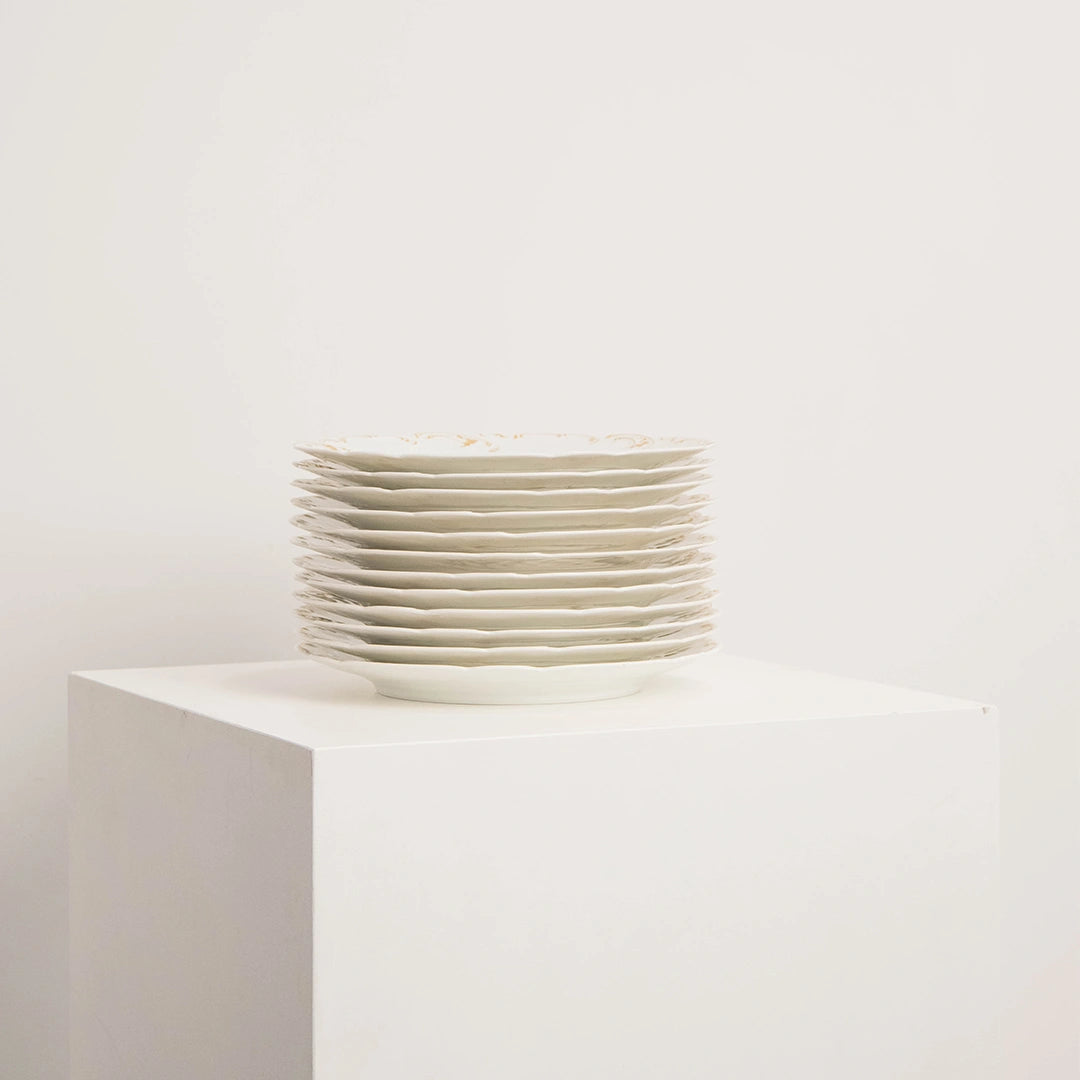 Service de 6 Assiettes en Porcelaine Haviland H&C DEBEAULIEU