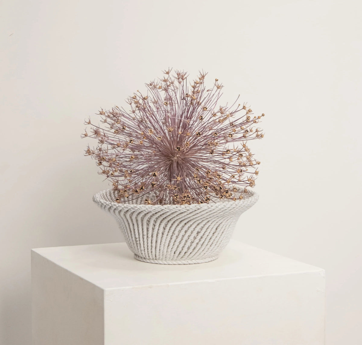 Coupe Évasée en Faïence Blanche DEBEAULIEU