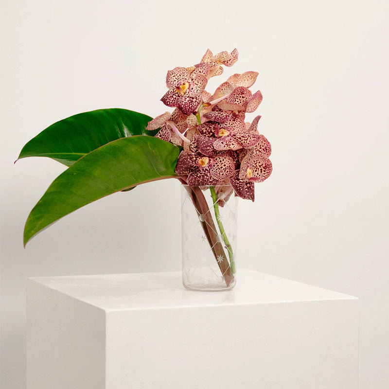 Vase Cylindrique à Décor Étoilé DEBEAULIEU