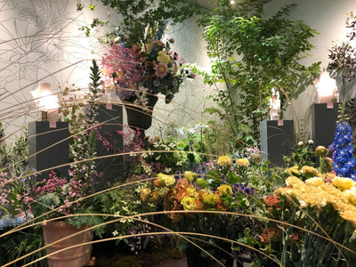 CHAUMET - Carte blanche - Pop-up Store Ginza, TOKYO (Juin 2018)