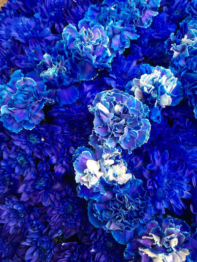 BALENCIAGA, VOIR LA VIE EN BLEU