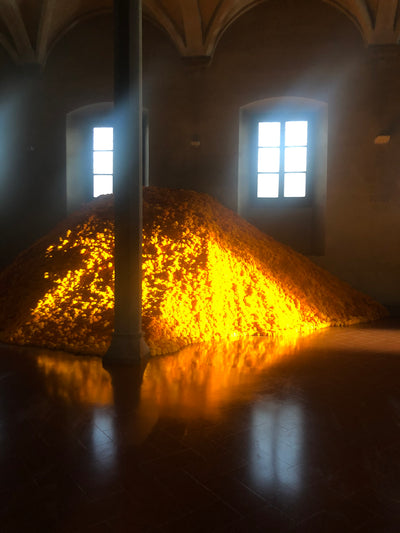 JIL SANDER, SEE LIFE IN ORANGE (JANUARY 20)