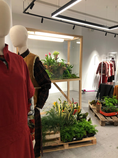 KENZO, TERRARIUM (JANUARY 20)