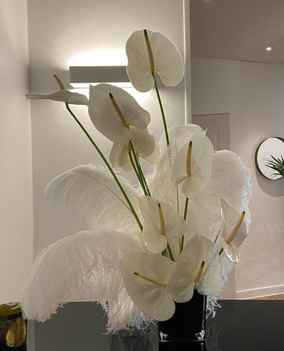 NICHOLAS KIRKWOOD (JANUARY 20)