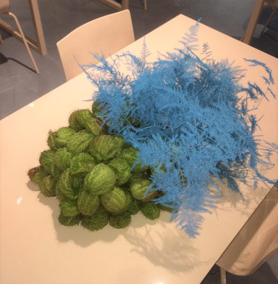 NINA RICCI, AQUATIK (JANUARY 20)