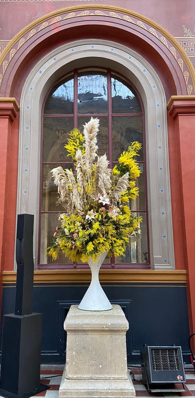 VILLA NOAILLES, MIMOSA XXXL (JANUARY 20)