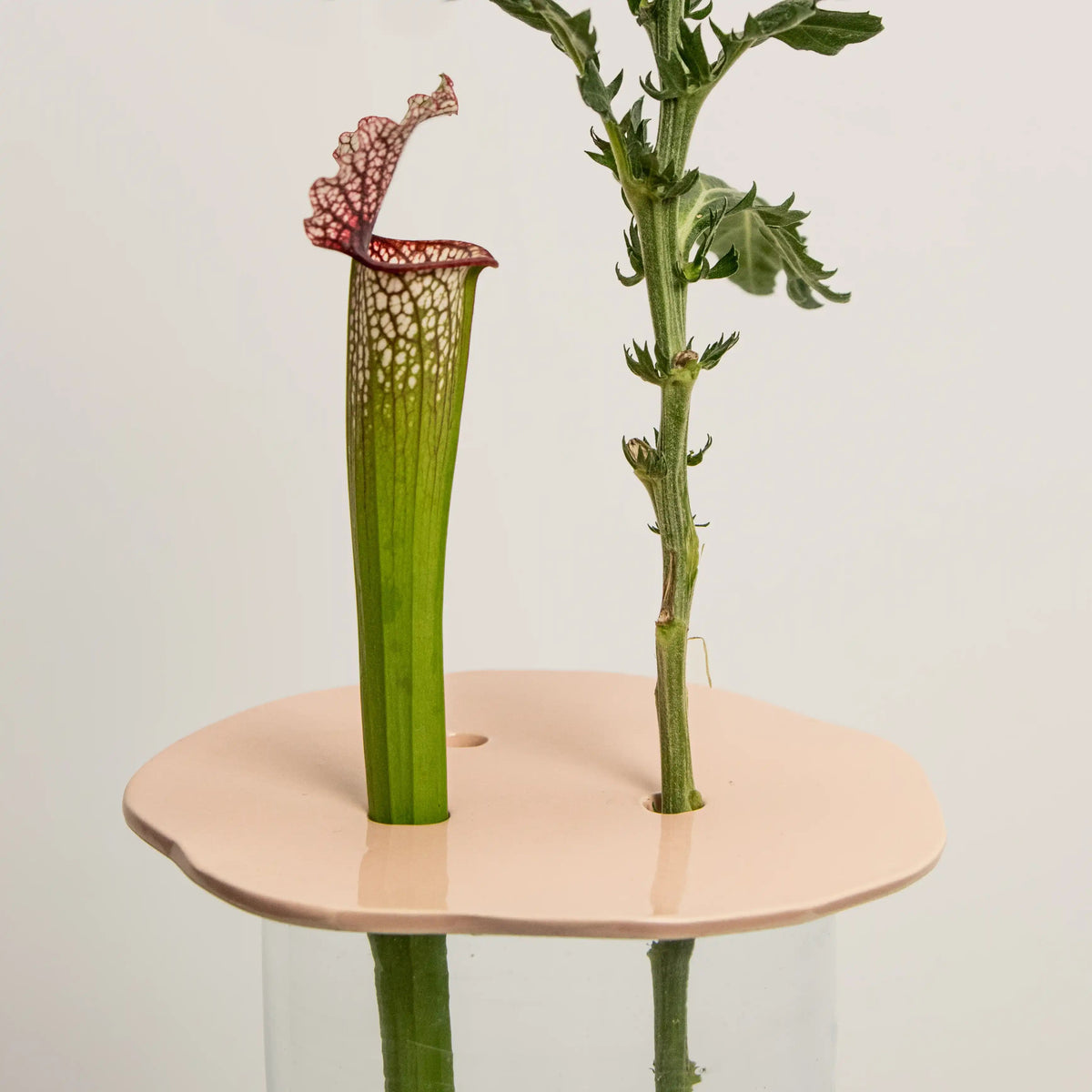 Pique-Fleurs DEBEAULIEU en Céramique Rose DEBEAULIEU