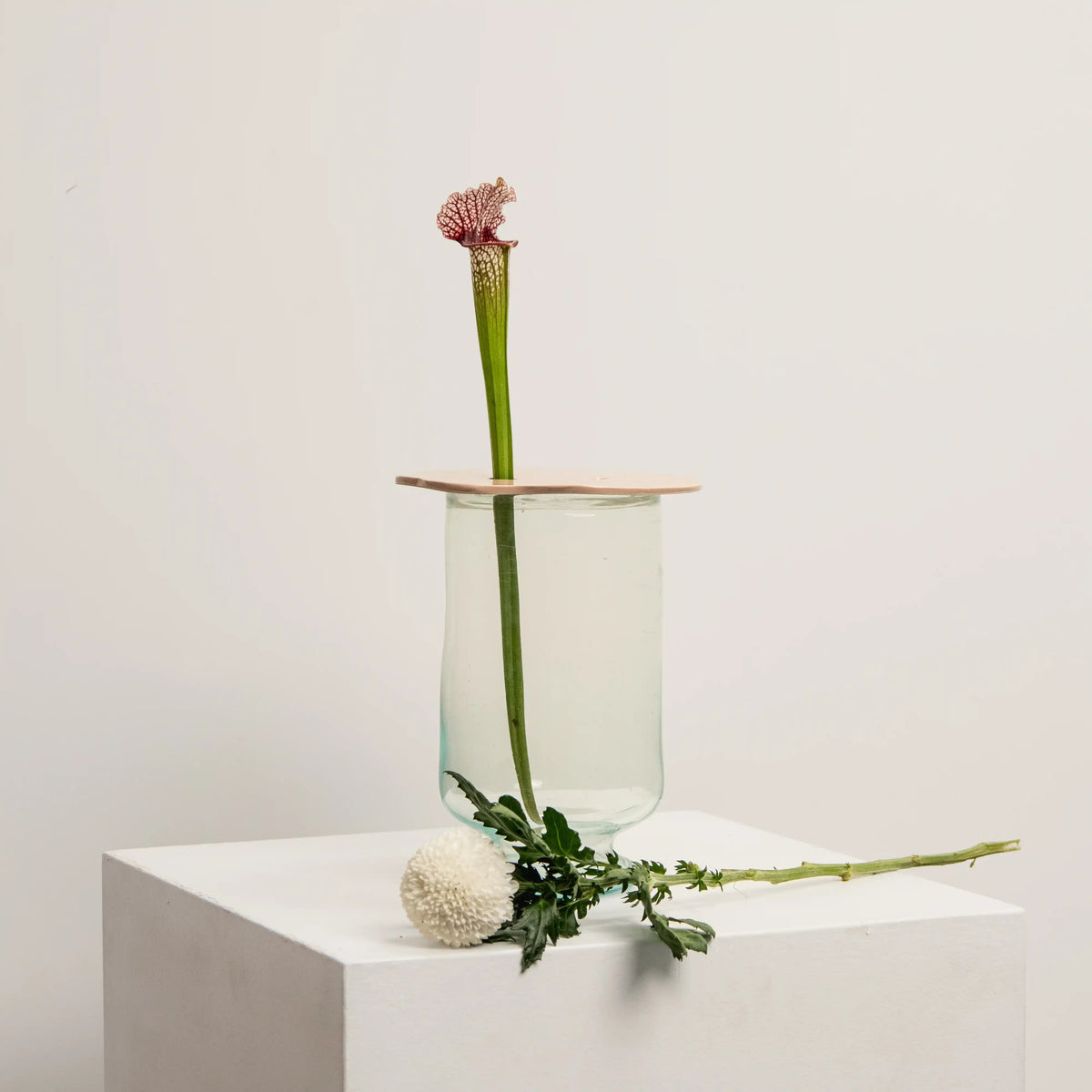 Pique-Fleurs DEBEAULIEU en Céramique Rose DEBEAULIEU